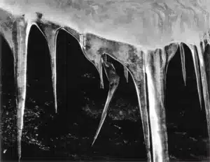 Ansel Adams photography.jpg